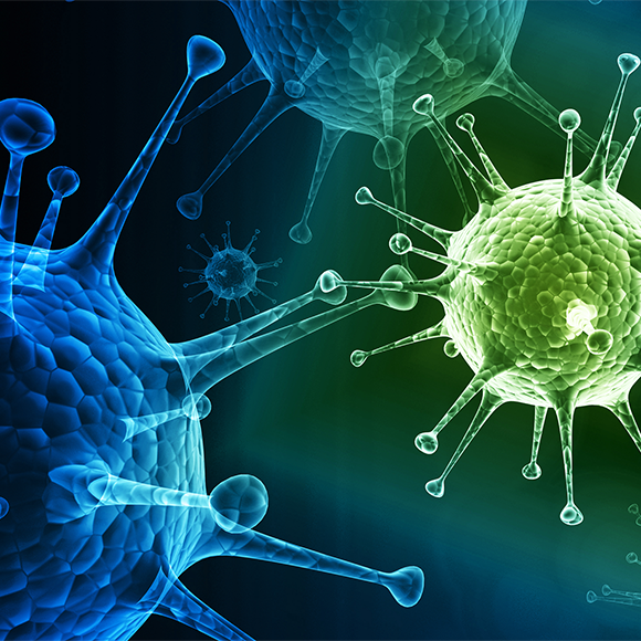 מחלות ללא גבולות: החצבת ממשיכה לדהור