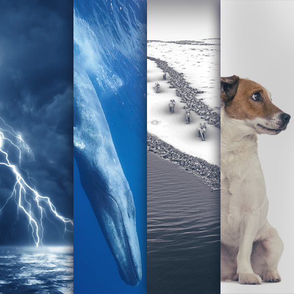 המחקרים החדשים ביותר: מהנשמדע 2/3/24