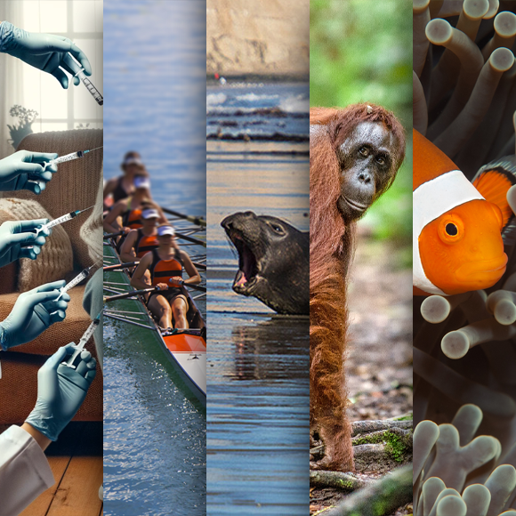 המחקרים החדשים ביותר: מהנשמדע 16/3/24