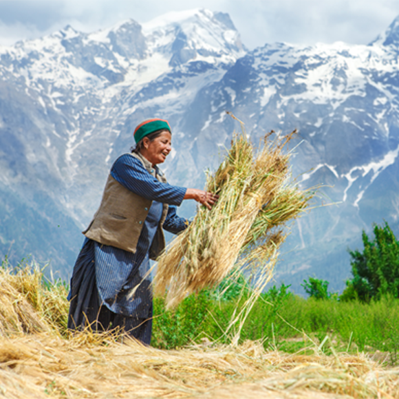 כשהאבולוציה מטפסת לגובה