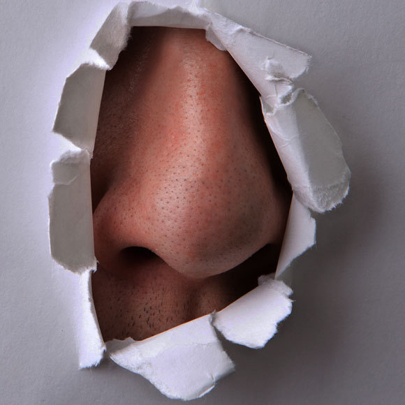 How Is Your Sense of Smell? Exploring Olfactory Perception