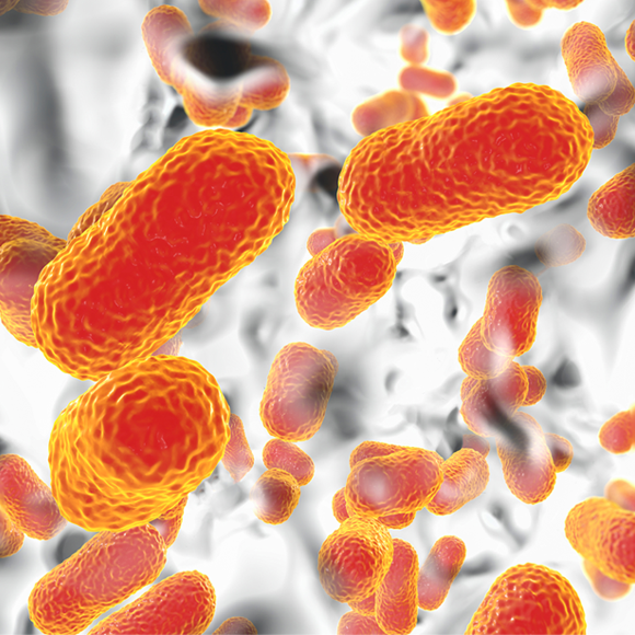 זוהה מנגנון אנטיביוטי חדש נגד חיידקים