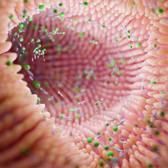 לא נגיף – אובליסק!