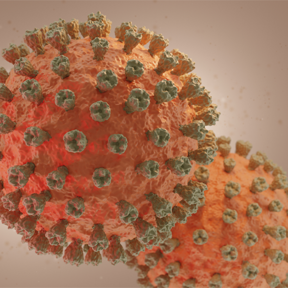 מחלות ללא גבולות – שפעת העופות באסיה