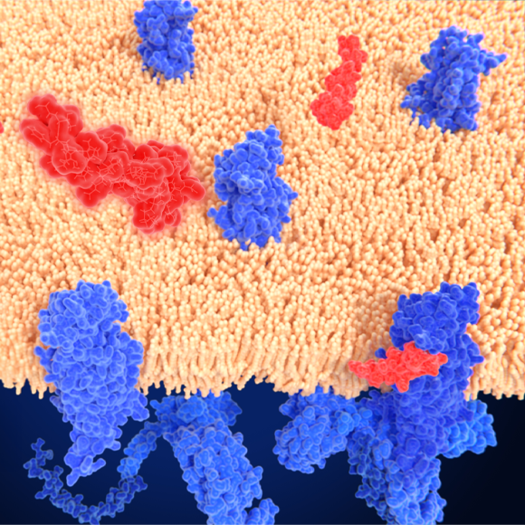 לשתות פחות ול–Reddit במשקל