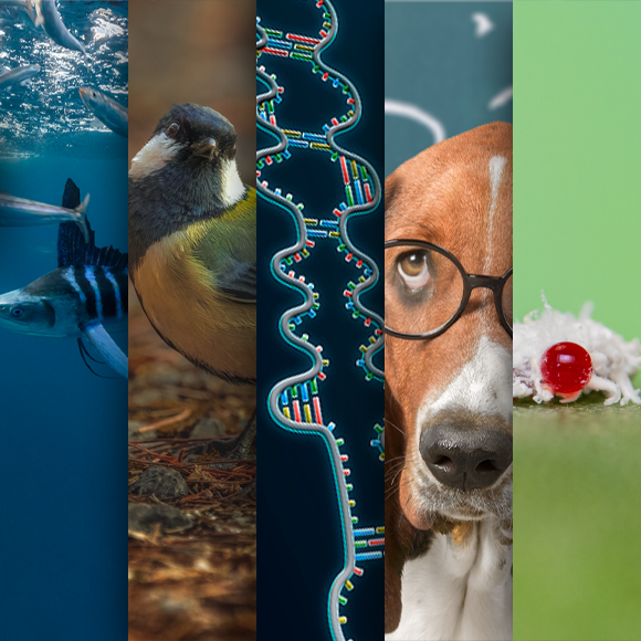 המחקרים החדשים ביותר: מהנשמדע 6/4/24