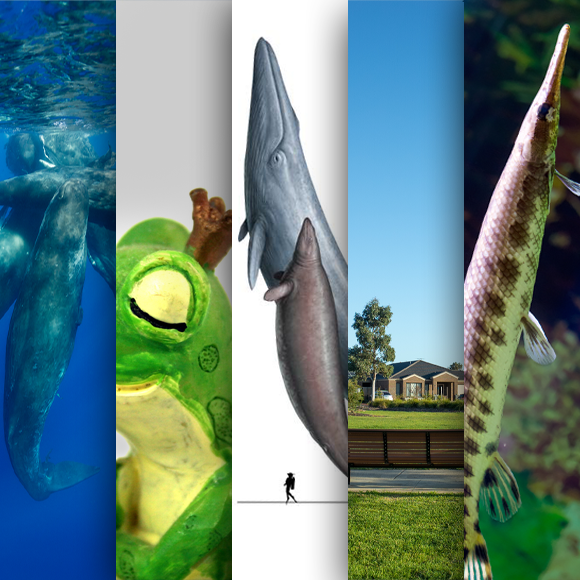 המחקרים החדשים ביותר: מהנשמדע 20/4/24