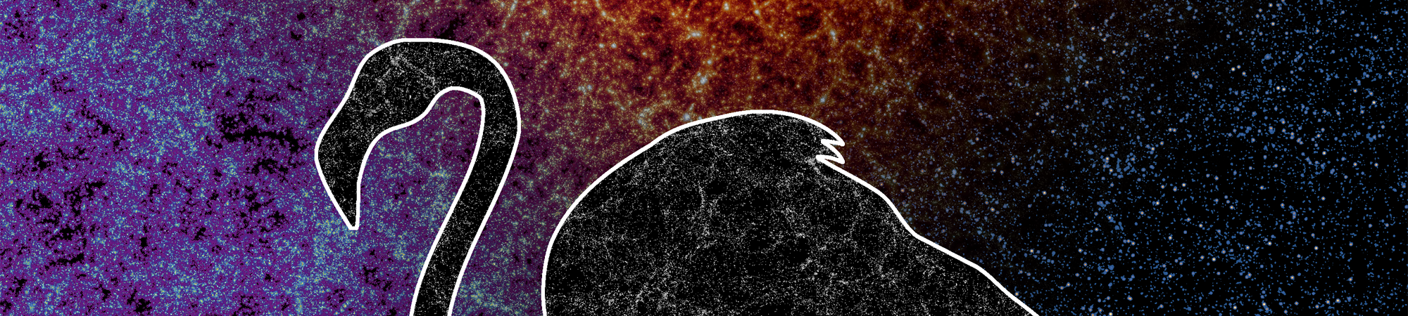 הפלמינגו ששופך אור על ראשית ימי היקום