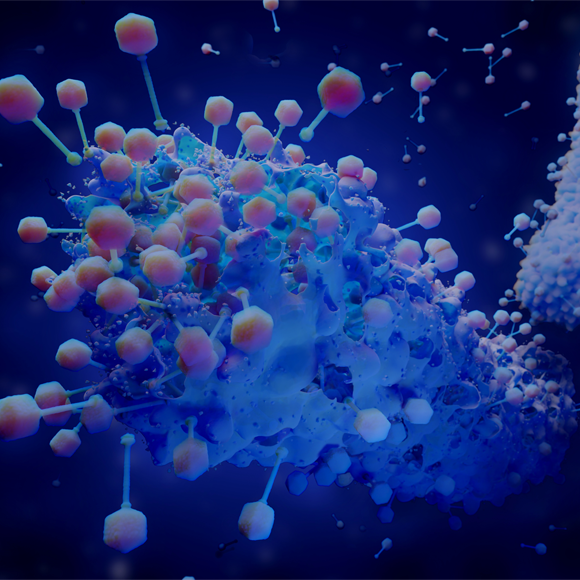 نقضي على البكتيريا وهي نائمة