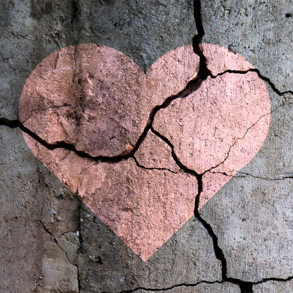 החוסן לשרוד