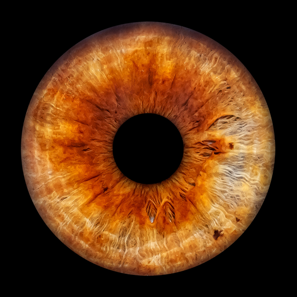 עין תחת עין