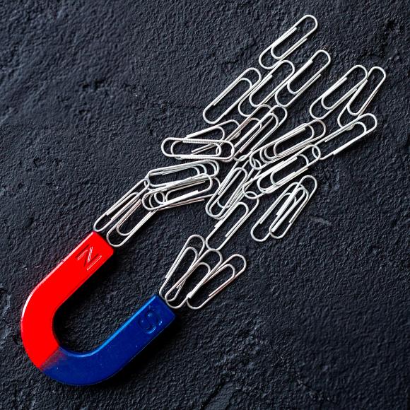 בא לשכונה מגנט חדש