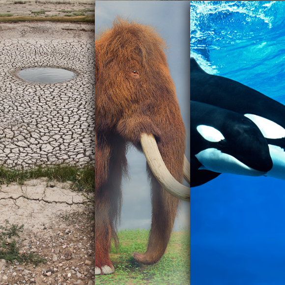 המחקרים החדשים ביותר: מהנשמדע 4/5/24