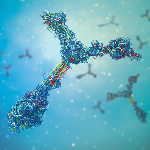 השתיקה הרועמת של כרומוזום X