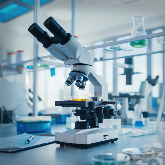 מפטריות ועד למידת מכונה: פרסי קריל 2024