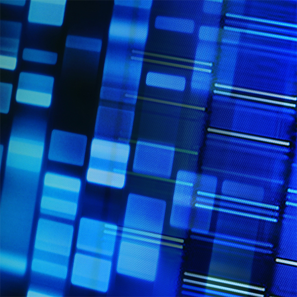 Inherited Troubles – A Look At Hereditary Diseases