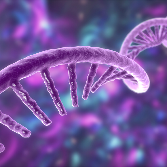 לא רק חיסונים: טיפול במחלה תורשתית באמצעות mRNA