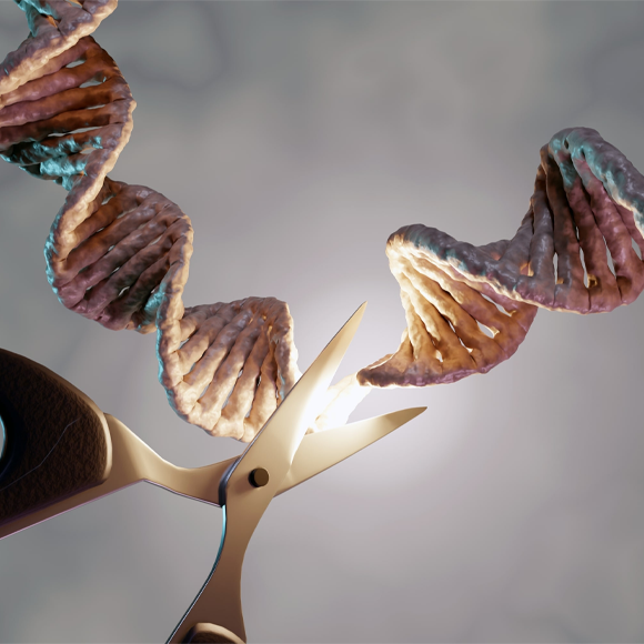 זריקה אחת וזה עובר