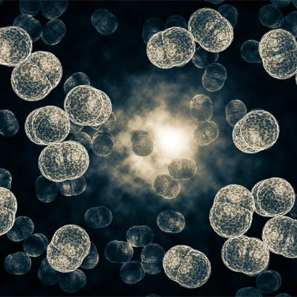 מחלות ללא גבולות – המצב חצבת