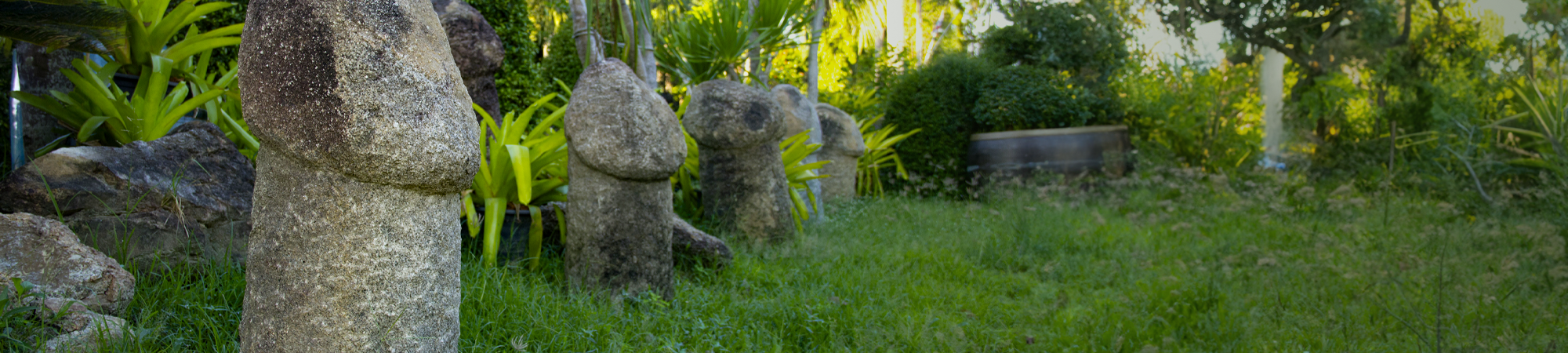 מצא מין את פינו