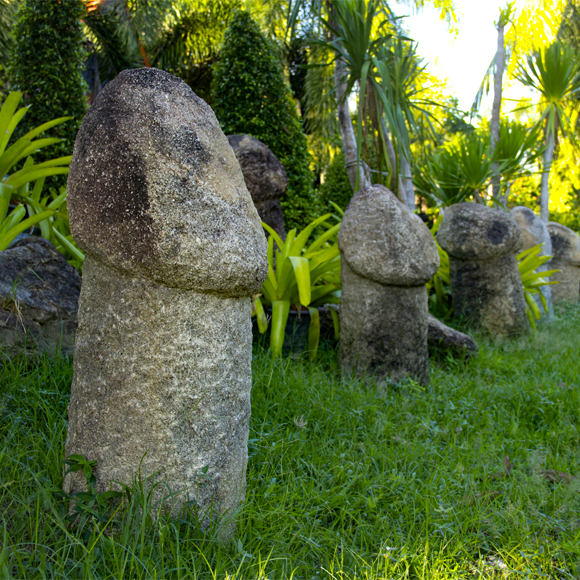 מצא מין את פינו