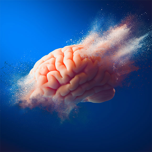 They Say That The Brain Is… Myths and Facts About The Brain