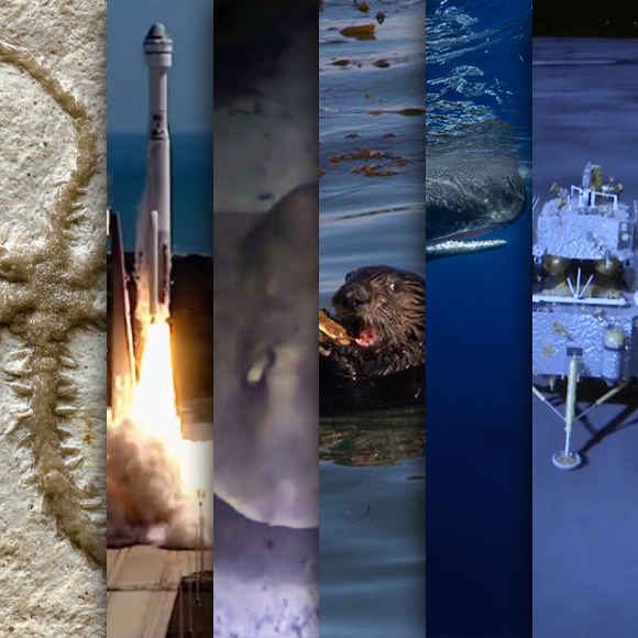 המחקרים החדשים ביותר: מהנשמדע 8/6/24