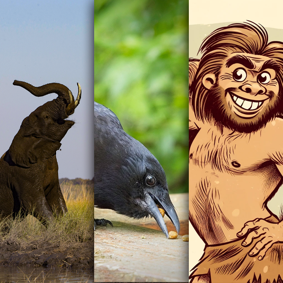 המחקרים החדשים ביותר: מהנשמדע 15/6/24