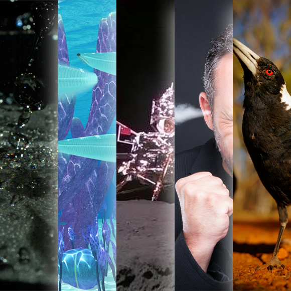 המחקרים החדשים ביותר: מהנשמדע 29/6/24