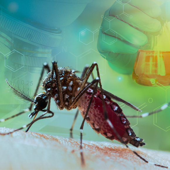 מחלות ללא גבולות: מקדחת עד חצבת