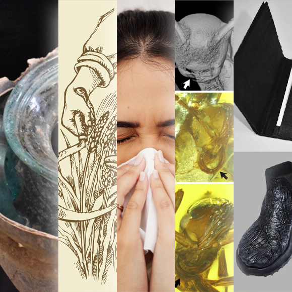 המחקרים החדשים ביותר: מהנשמדע 6/7/24