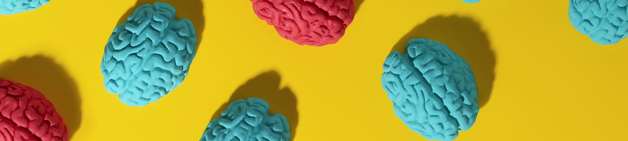 גלגוליו של המוח