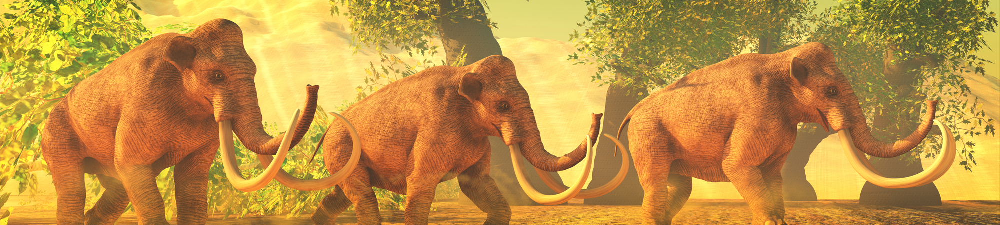 מי הזיז את הממותות שלי?