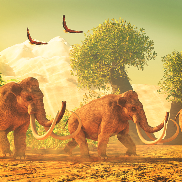 מי הזיז את הממותות שלי?