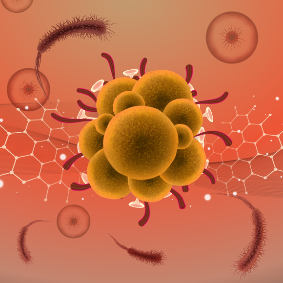 עונת הקדחת: מחלות ללא גבולות