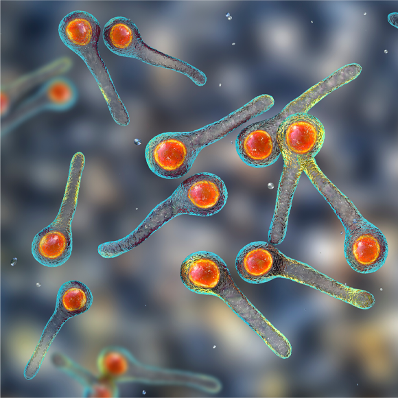 מחלות ללא גבולות: ילדים נופלים קורבן למחלות שיש נגדן חיסון