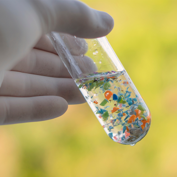 Microplastics Increase the Risk of Heart Disease