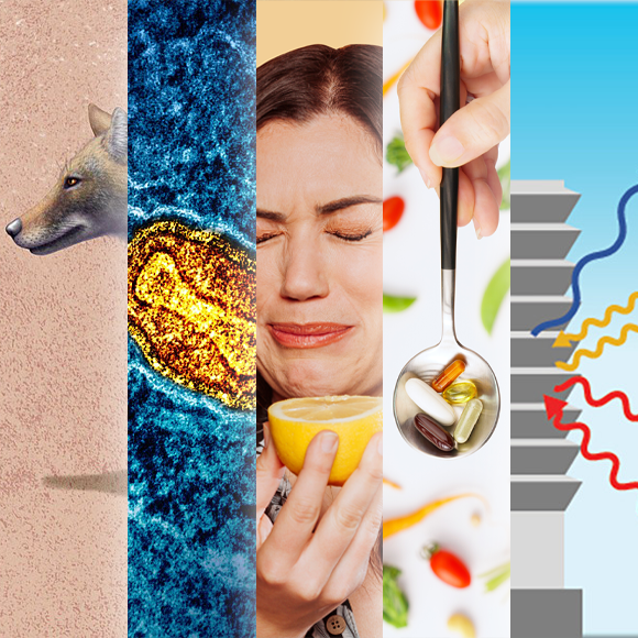 המחקרים החדשים ביותר: מהנשמדע 24/8/24