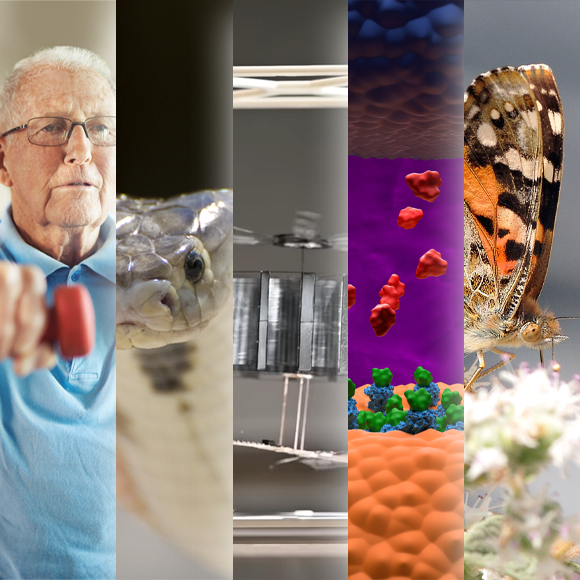 המחקרים החדשים ביותר: מהנשמדע 3/8/24