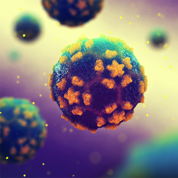 מחלות ללא גבולות – אבעבועות הקוף ופוליו