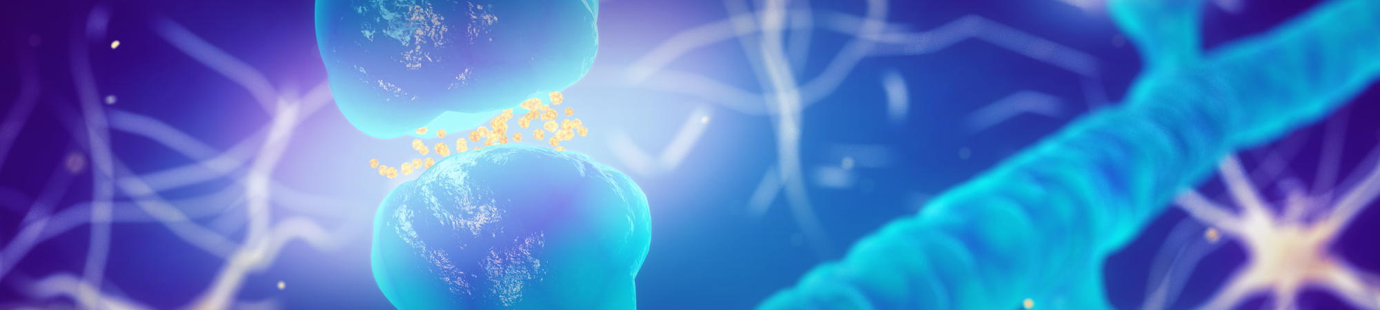 פלאי המוליכים העצביים: דופמין