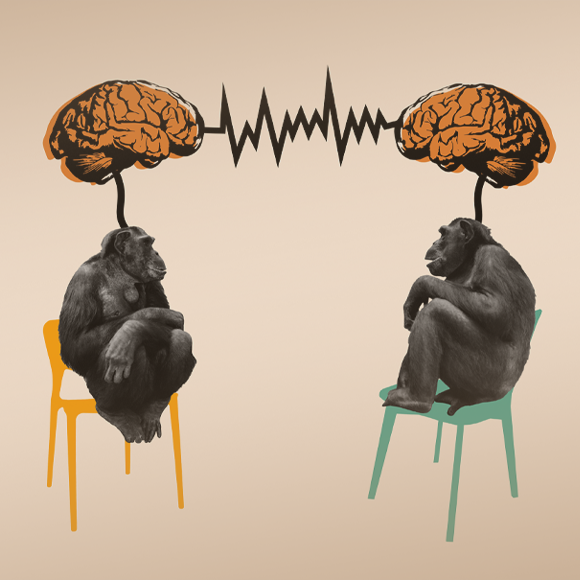 מילה של שימפנזה