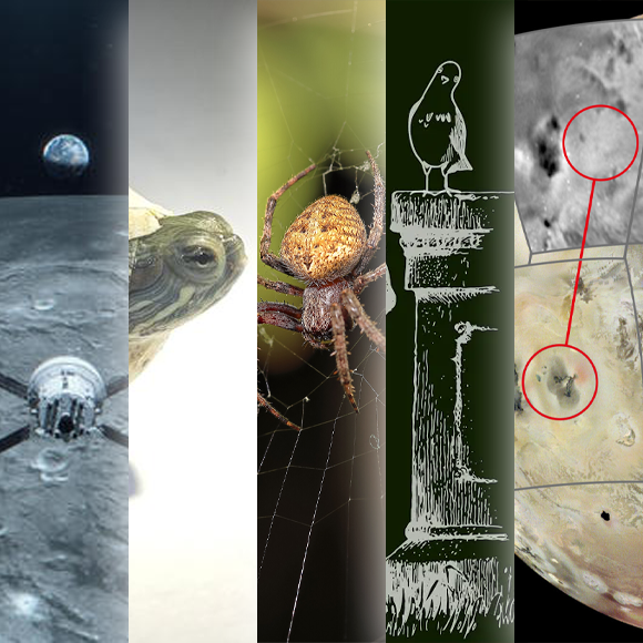 המחקרים החדשים ביותר: מהנשמדע 21/9/24