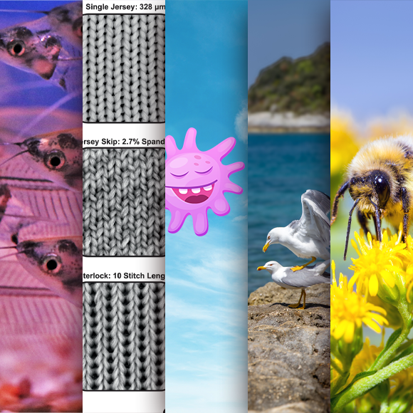 המחקרים החדשים ביותר: מהנשמדע 28/9/24