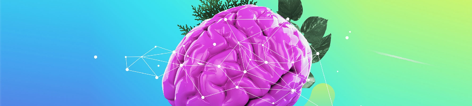 ما هو الباراسيتامول؟ غسيل دماغ 145