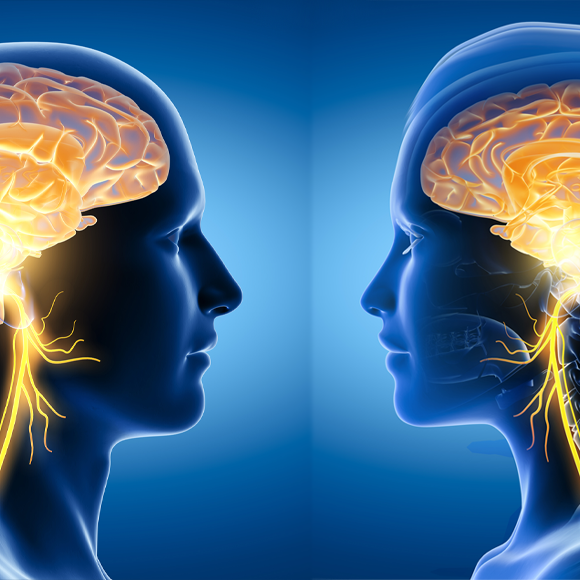 الألم الذكريّ والألم الأنثويّ