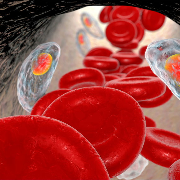 Delivering Proteins Directly to the Brain