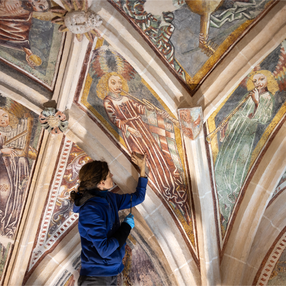 לעשות מדע בשם האמנות