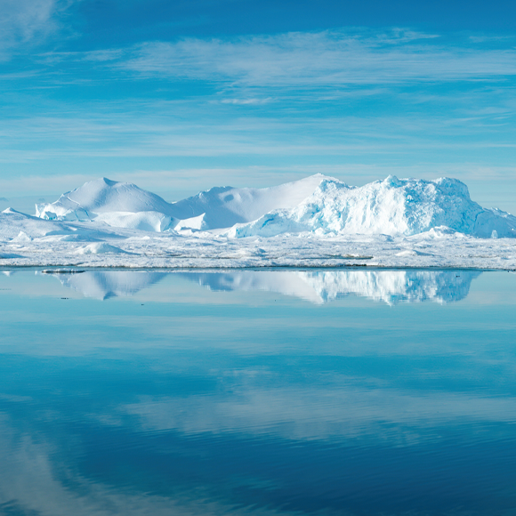 חיידקי אנטי-פריז