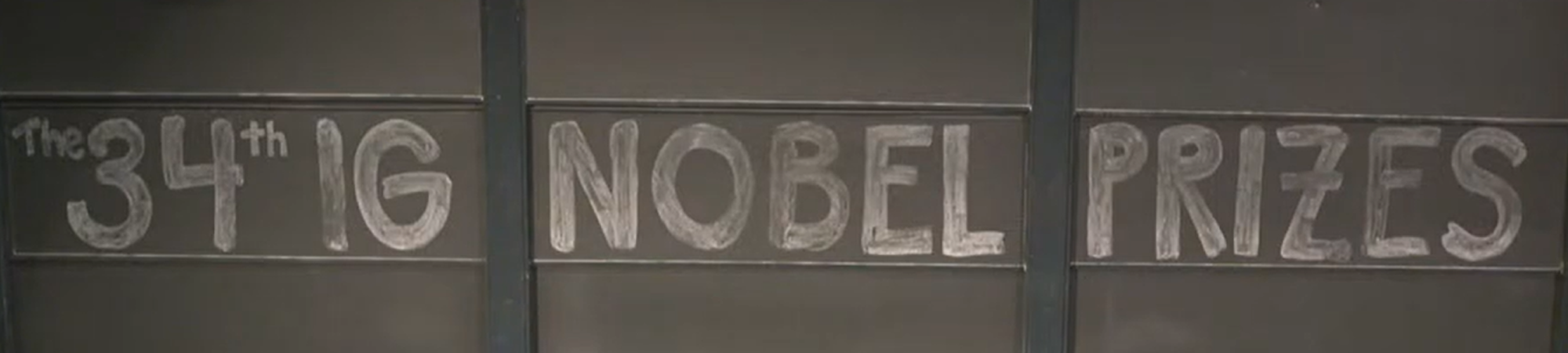 יונה בתוך טיל ותולעים שיכורות: איג נובל 2024